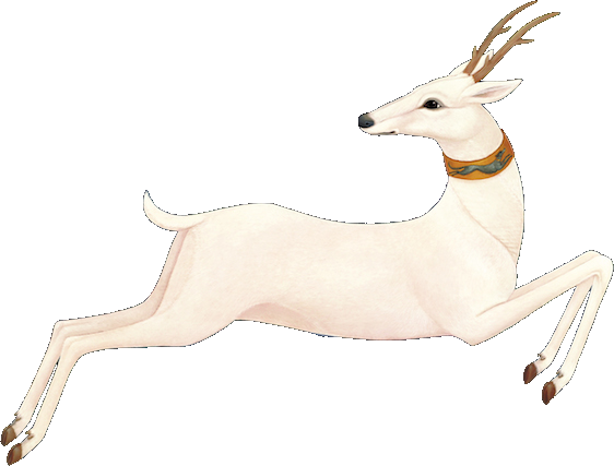 Heartleap