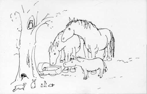 Drawing by Robert Lewis 1986 ben