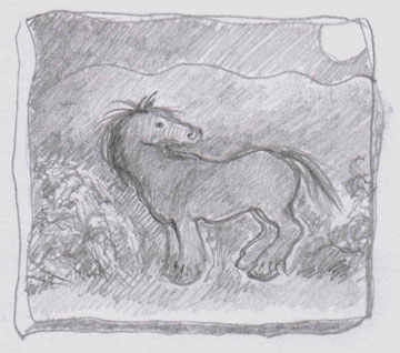 dark-horseforweb.jpg